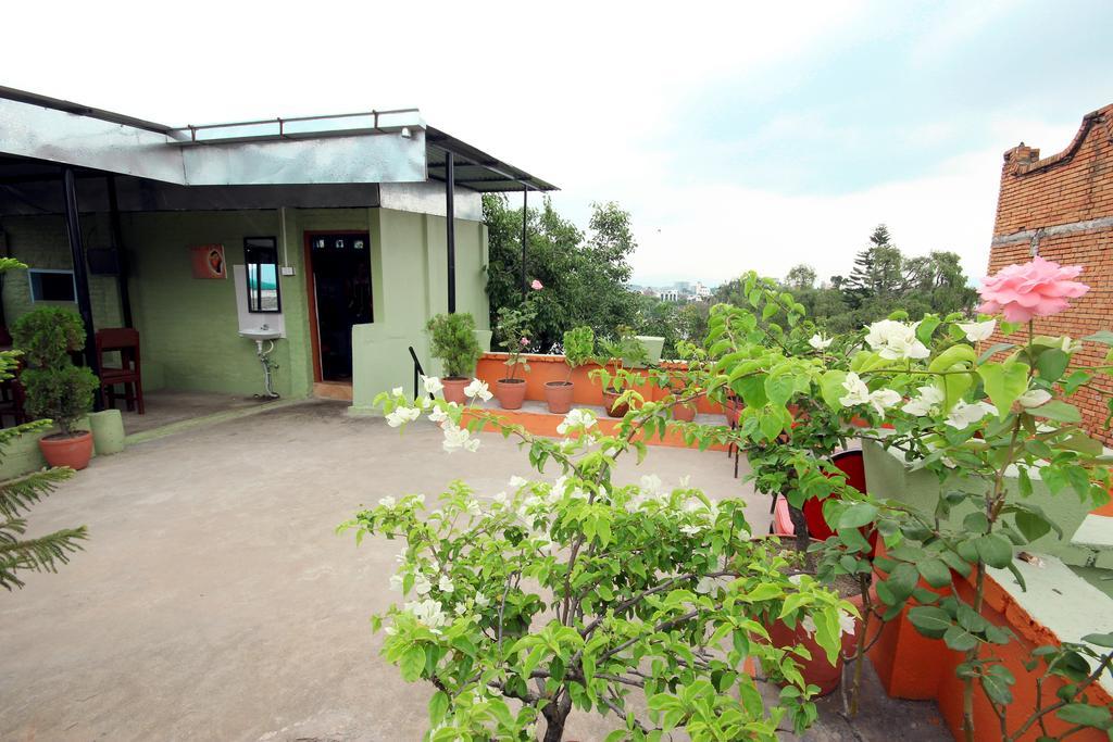 Hotel Backpackers Inn Katmandu Zewnętrze zdjęcie